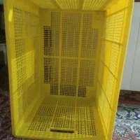 سبد مرغ وماهی