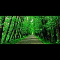 ویلا دوبلکس نیمه‌کاره زمین ۲۴۵متر دو نبش، صفرابسته