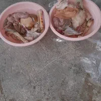 کله پاچه بزغاله|خوردنی و آشامیدنی|ایلام, |دیوار