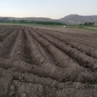 زمین کشاورزی خالی 3500 متر مرگور هفت آباد