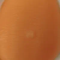 پروتز سینه کاملا نو|آرایشی، بهداشتی، درمانی|خوی, |دیوار