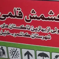 کشمش قلمی سبز کاشمر عمده|خوردنی و آشامیدنی|قم, شاه ابراهیم|دیوار