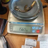 طلا دست دوم|جواهرات|نهاوند, |دیوار