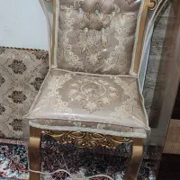 دوعدد صندلی میزبان با کاور کاملا سالم نشیمن نو