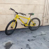 «دوچرخه ویوا سالم»