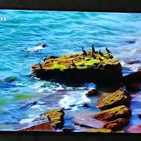 تلویزیون هوشمند دوو ۵۵ اینچ 4K|تلویزیون و پروژکتور|تهران, نازی‌آباد|دیوار