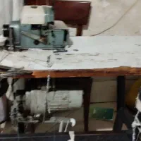 چرخ زیگزال ژوکی