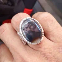 شجر کبود نقره