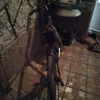 دوچرخه 26دماوند|دوچرخه، اسکیت، اسکوتر|باسمنج, |دیوار