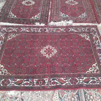 قالی دست بافت|فرش|شراء, |دیوار