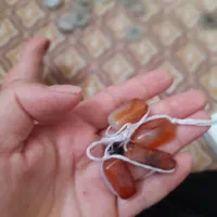 سکه و مهره خیلی قدیمی