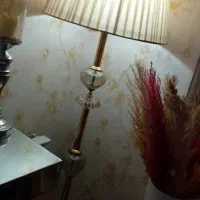 ۲ عدد آباژور ایستاده کاملا سالم در حد نو|چراغ خواب و آباژور|رشت, یخسازی|دیوار