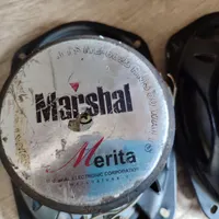 یک جفت باند مارشال