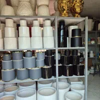 گلدان سرامیکی در گلخانه من
