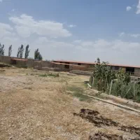 گاوداری ، اطراف ملکان .|فروش دفتر صنعتی، کشاورزی، تجاری|بکتاش, |دیوار