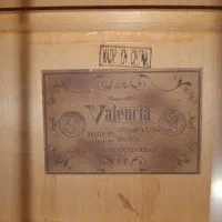 گیتار والنسیا (Valencia) اصل ، پیکاپ‌دار / کات‌اوی