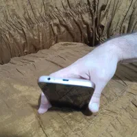 گوشی|موبایل|شاهین دژ, |دیوار