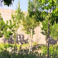 زمین شاهنامه ۷۶|فروش زمین و ملک کلنگی|مشهد, شمس آباد|دیوار