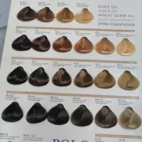 آلبوم رنگ مو|آرایشی، بهداشتی، درمانی|تهران, نمایشگاه بین المللی|دیوار