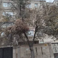 زمینی-فروشی-کوچه-حسینیه