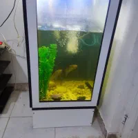 آکواریوم شیک با قیمت مناسب