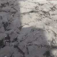 گلیم فرش جدید