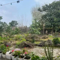 خانه-باغ-300متر-با-تراس-و-باغ-پراز-درخت