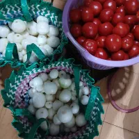 فروش وثبت سفارش انواع محصولات خونگی مادر|خوردنی و آشامیدنی|اهواز, کوی سعدی|دیوار