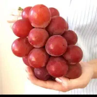 آغاج|خدمات باغبانی و درختکاری|اسلامشهر, شهرک واوان|دیوار