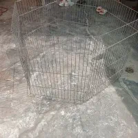 پارک فلزی استیل وسه توله پاپی