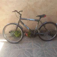 فروش چرخ دماوند