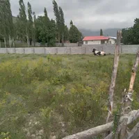 زمین ۵۳۰ متری دونبش در منطقه ییلاقی کجور