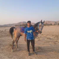 نریون درشوری