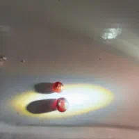 دوعددیاقوت سیلانی اصل|کلکسیون اشیاء عتیقه|برازجان, |دیوار