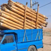 خرید و فروش چوب
