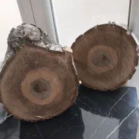 چوب گردو و سنجد