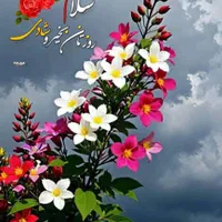 پرستار سالمند خانوم
