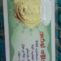 سکه پارسیان