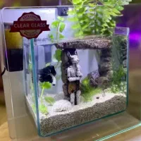 آکواریوم خاص با شیشه خم سوپر کلیر بدون چسب شرکتی