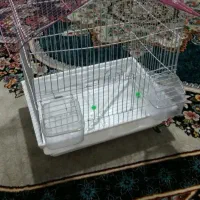 قفس پرنده نو