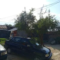 پراید دوگانه فابریک cng|خودرو سواری و وانت|گرگان, |دیوار