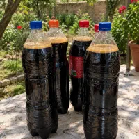 دوشاب اصل از کشمش بدون دانه