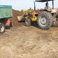 کود گوسفندی وگاوی|خدمات باغبانی و درختکاری|قائمشهر, |دیوار