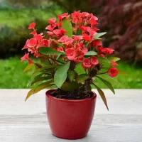 ضرورت به پنکه ایستاده زمینی