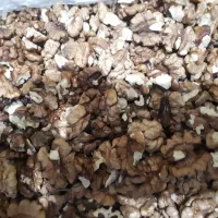 مغز گردو شیروان