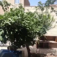 اجاره-همکف-ویلایی-سوییت