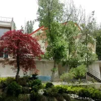 باغ-ویلا-2040