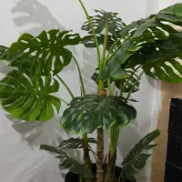 درختچه برگ انجیری مصنوعی