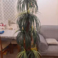 درختچه مصنوعی