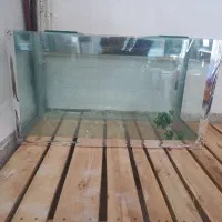 آکواریوم نو